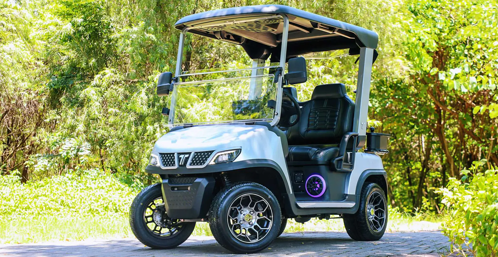 Tara Lithium Medium Speed Vehicle with 48V Battery
