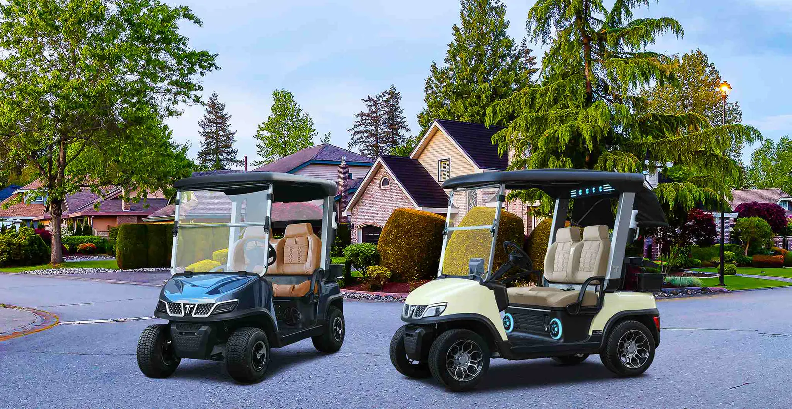 types-of-golf-carts
