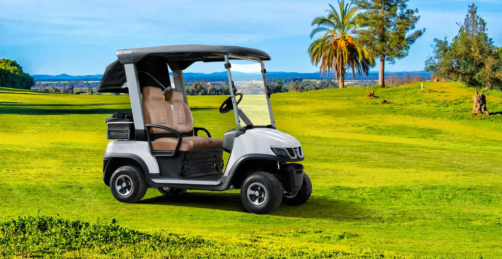 Tara Electric Medium Speed Vehicle on Golf Course