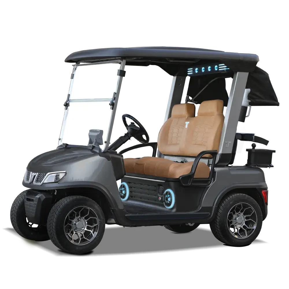 Gray Tara Spirit Plus Medium Speed Vehicle with Modern Styling and Lithium Power