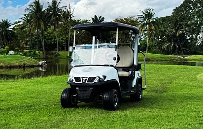 The Real Cost of a Medium Speed Vehicle Fleet